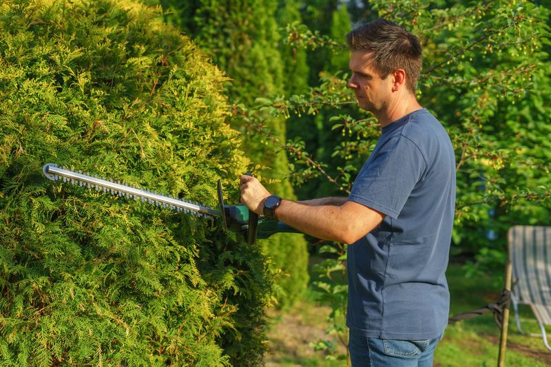 Gärtner beim fachgerechten Heckenschnitt im Garten